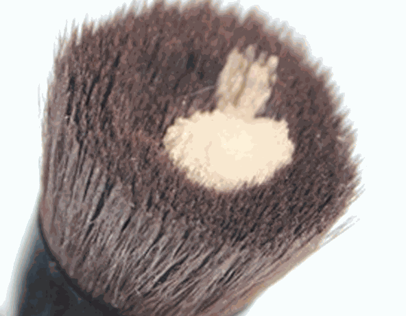 Contour Foundation Brush | Ash Wood Makeup Brush